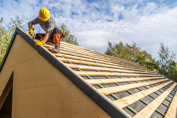 Roof Gutter Cleaning in Midlothian, TX